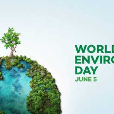 Essay on World Environment Day