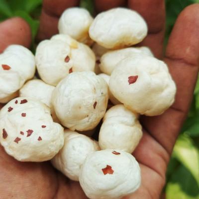 बिहार विश्व के 90% मखाना उत्पादन का केंद्र है