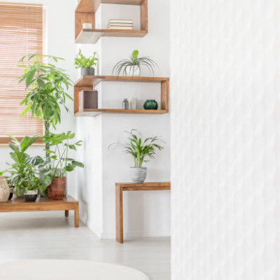 Best Corner Shelf Ideas For Your Home Decor