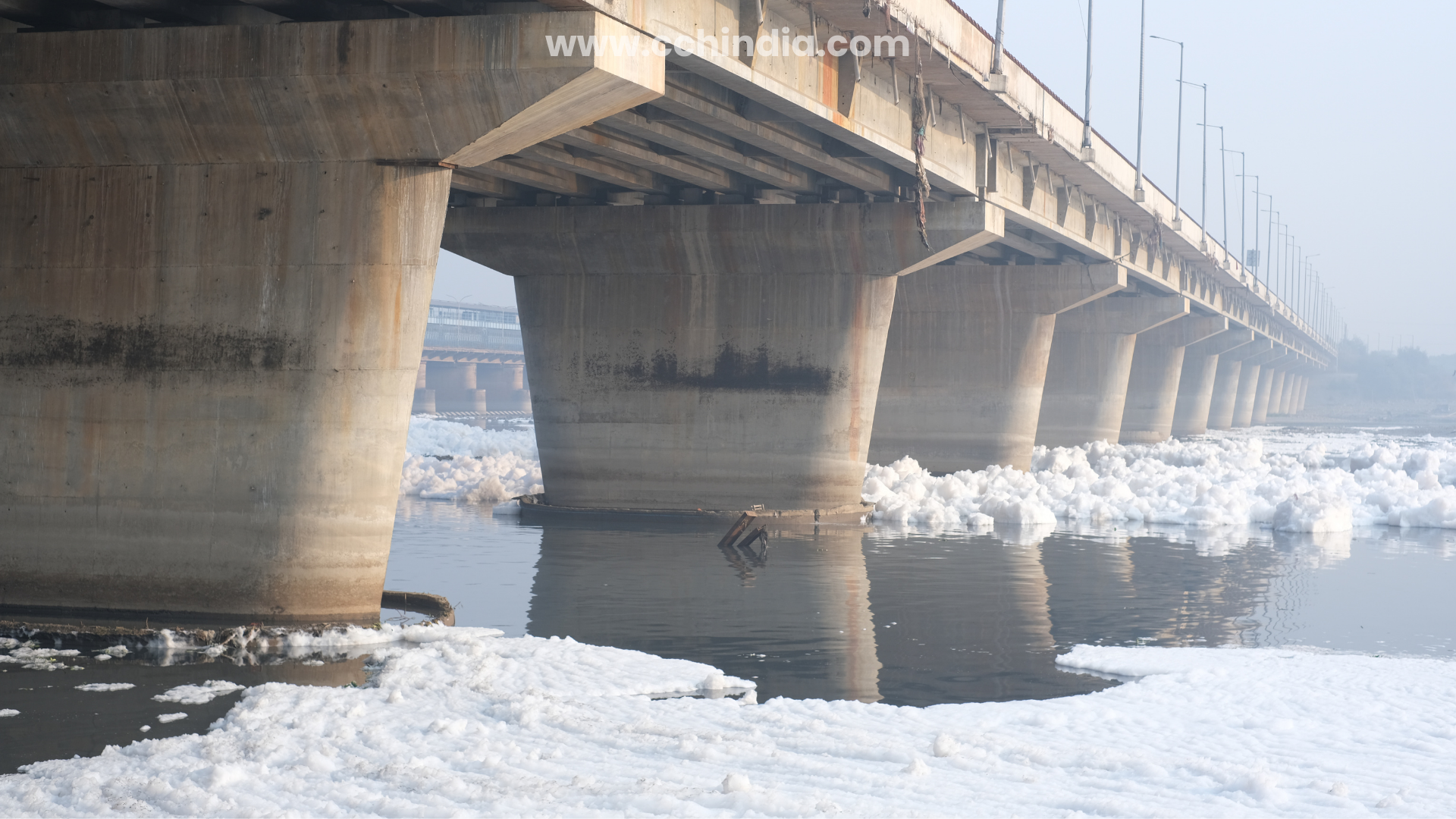 Delhi Government’s Push to Clean the Yamuna Between Promi ..1ses and Reality