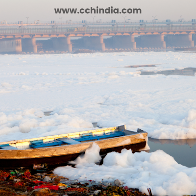 Delhi Government’s Push to Clean the Yamuna: Between Promises and Reality
