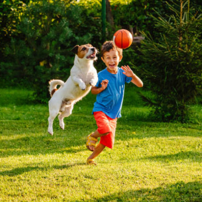 Best Dog Breeds for Kids