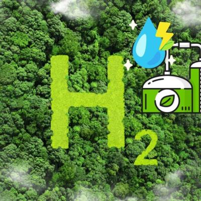 Green Hydrogen as a Fuel and Its Role in a Carbon-Free Future