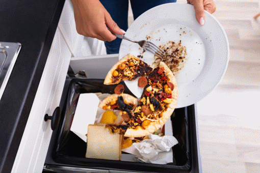 Best Dustbin For Kitchen