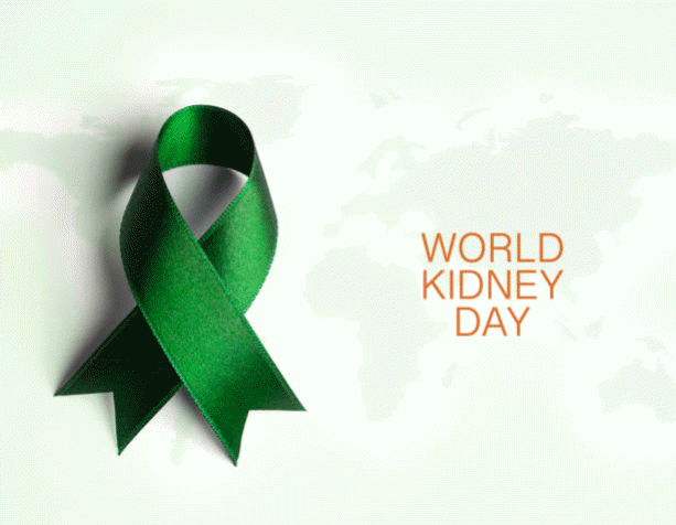 Importance of World Kidney Day