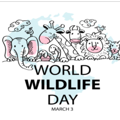 Essay on World Wildlife Day