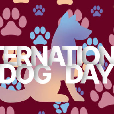 Best  Ideas To Celebrate International Dog Day