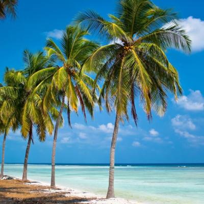 Mindful development in Lakshadweep is important for ecological conservation