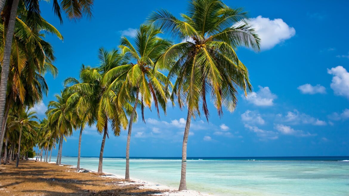 Mindful development in Lakshadweep is important for ecological conservation