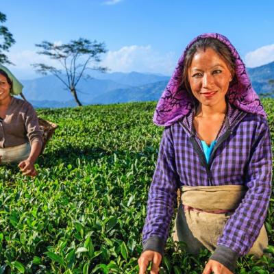 ‘Land for Women’ Initiatives are Important for Socio-Economic Development and Growth in India