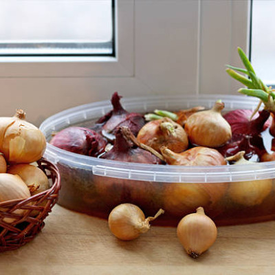 Best Onion Potato Garlic Storage Container for  Kitchen