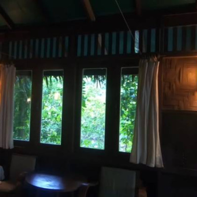 Designer Shadow Lights and Lamps for Wall/Home