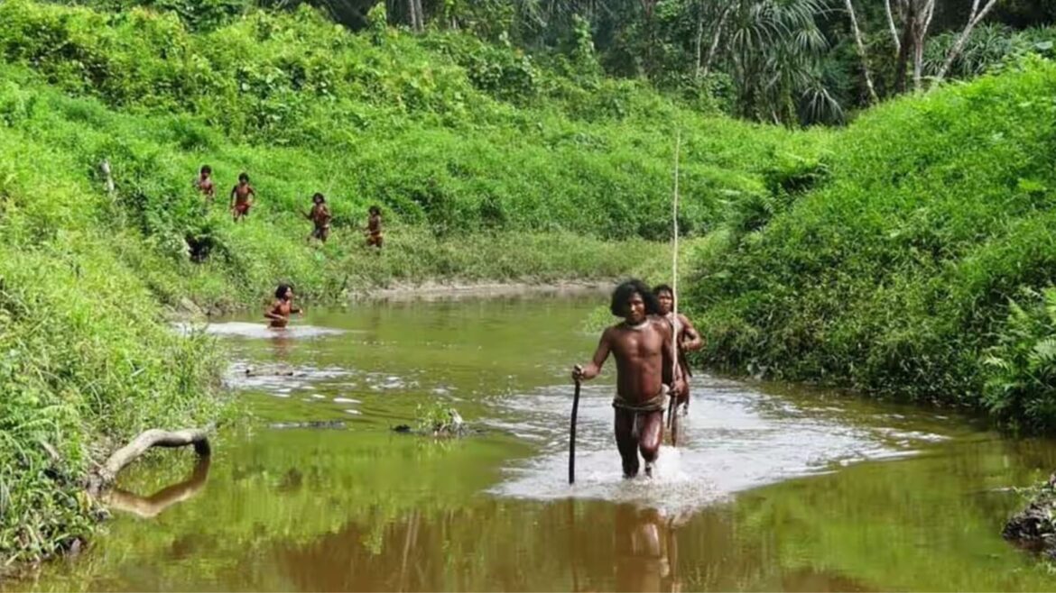 Mysteries of the Nicobarese and Shompen Tribes of the Nicobar Islands
