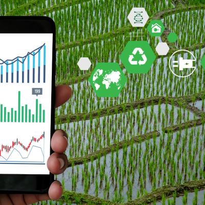 Soil Acidification and Liming in Indian Agriculture: A Challenge That Requires Artificial Intelligence Driven Solutions