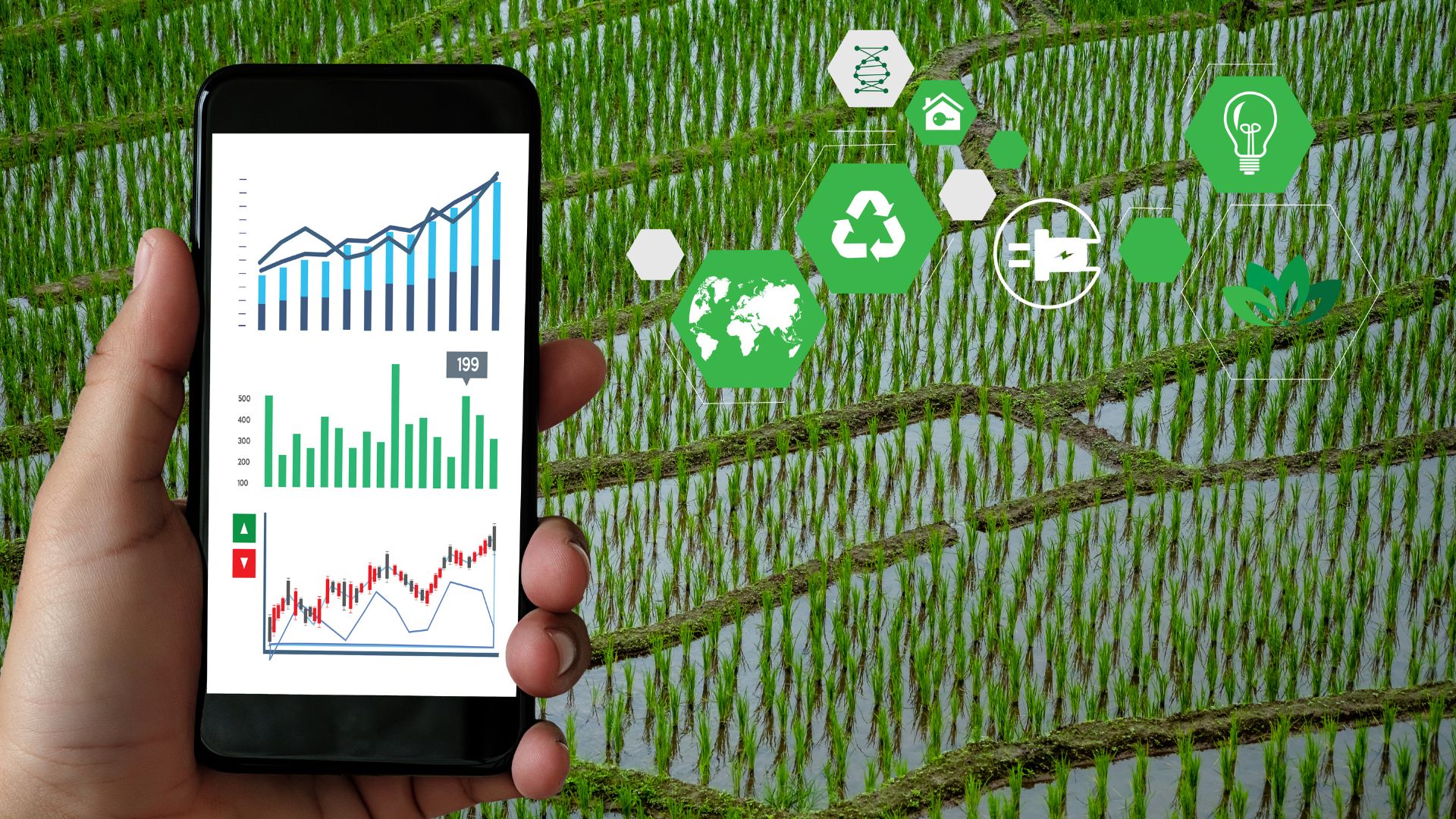 Soil Acidification and Liming in Indian Agriculture: A Challenge That Requires Artificial Intelligence Driven Solutions