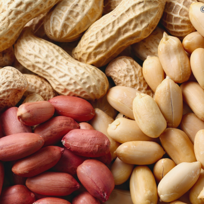 The Humble Peanut: Unlocking Its Potential in Sustainable Farming and Indian Cuisine