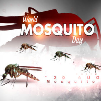 Funny Images For World Mosquito Day