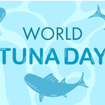 World Tuna Day